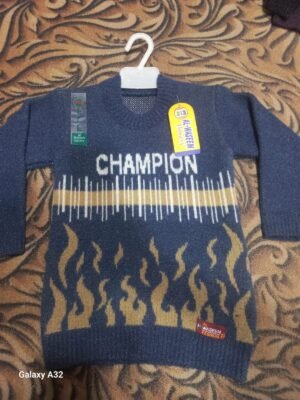 Champion Winter Sweater